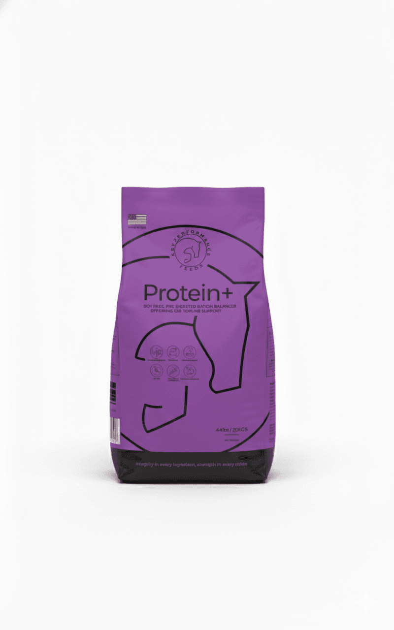 KPF Protein+